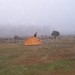 Ashley Mines Photo 28