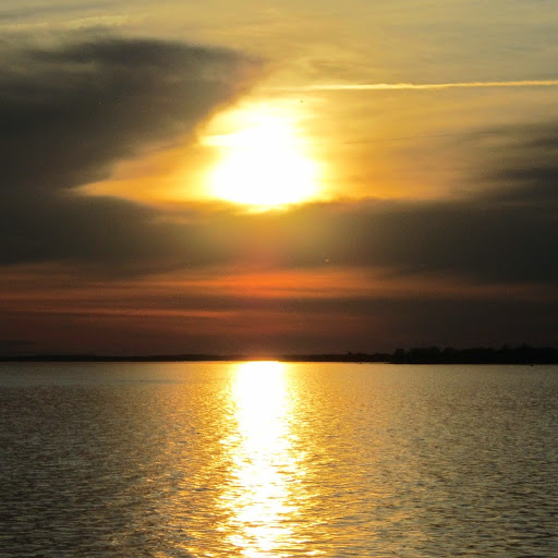 Brian Spink Photo 10