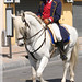 Claude Auger Photo 31