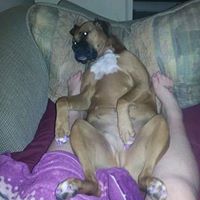 Mindy Wright Photo 7