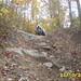 Willie Mccoy Photo 43