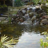 Dorothy Hendricks Photo 8