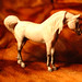 Deborah Turner Photo 43