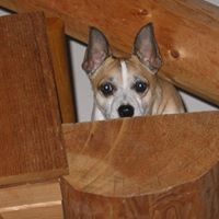 Gayle Hansen Photo 2