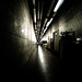 Wayne Speck Photo 9