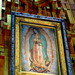 Mary Guadalupe Photo 30