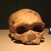 Gary Zhou Photo 29