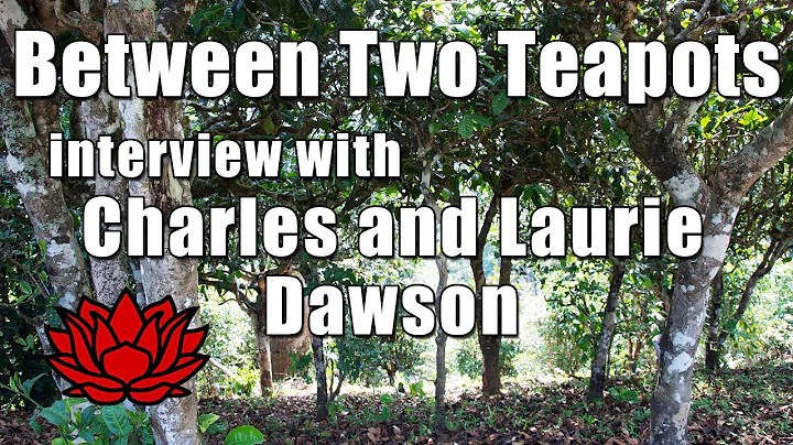Lauri Dawson Photo 5