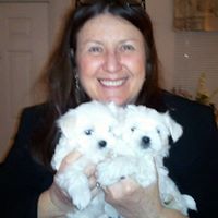 Kathy Macgregor Photo 6