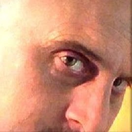 David Manion Photo 13