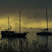 Deborah Bays Photo 24