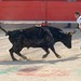 Laura Dumas Photo 35