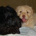 Vincent Bailey Photo 35