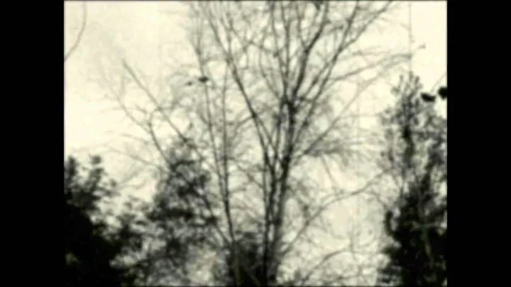 Helen Askew Photo 14
