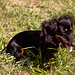 Rhonda Gary Photo 22