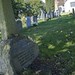 Doyle Knight Photo 25