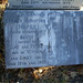 Stephen Gibbons Photo 42
