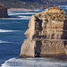 Gary Ard Photo 18