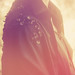 Julia Valles Photo 25