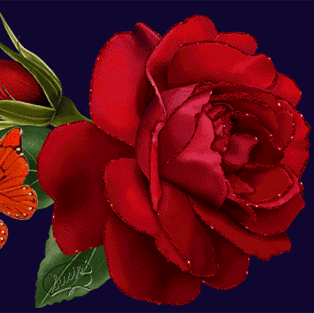 Waleed Eid Photo 10