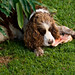 Archie Bush Photo 19