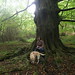 Sara Beech Photo 30