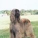 Debbie Dann Photo 22