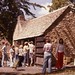 Sue Greenfield Photo 30