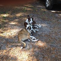 Randy Garvin Photo 7