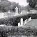 Henry Greenleaf Photo 15