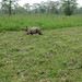 Sujoy Banerjee Photo 29