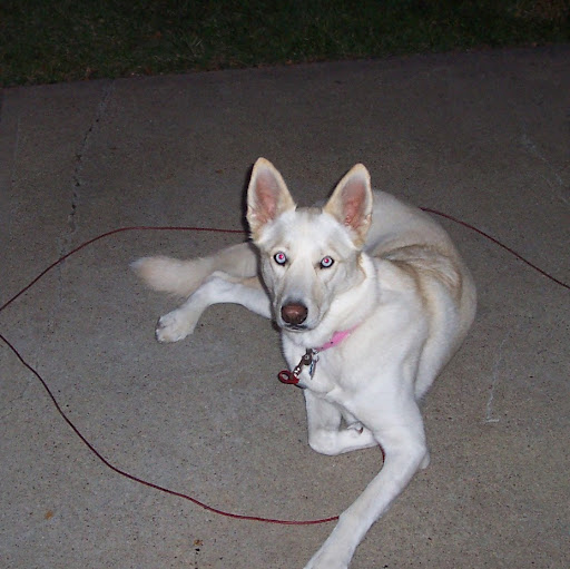 Karen Wayne Photo 13