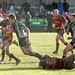 Thomas Felling Photo 17
