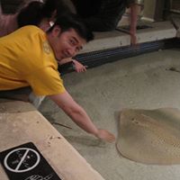 Trung Diep Photo 3