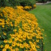 Susan Borders Photo 29