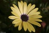 Connie Pyatt Photo 2