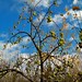 Robin Lyman Photo 32