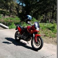 Harry Meyers Photo 2