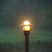Brenda Beam Photo 30