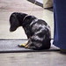 Rodger Smith Photo 47