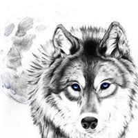 Annette Wolfe Photo 4