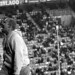 Robert Juve Photo 20