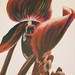 Roger Mader Photo 12