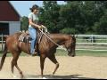 Denice Schroeder Photo 23