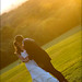 Lisa Wickham Photo 36
