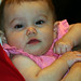 Allan Lieberman Photo 17