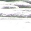 Sonia Jackson Photo 10