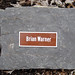 Brian Cantor Photo 29