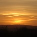 Dawn Newland Photo 30