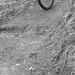 Jason Whyte Photo 39